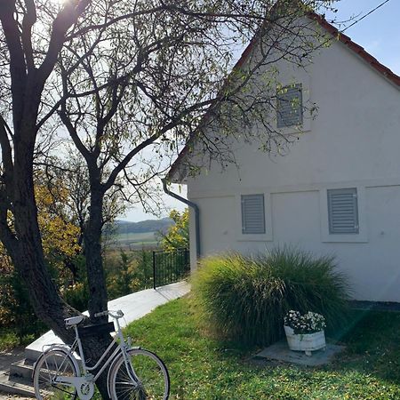 Szoloskert Vendeghaz Balatonszolos Exterior photo